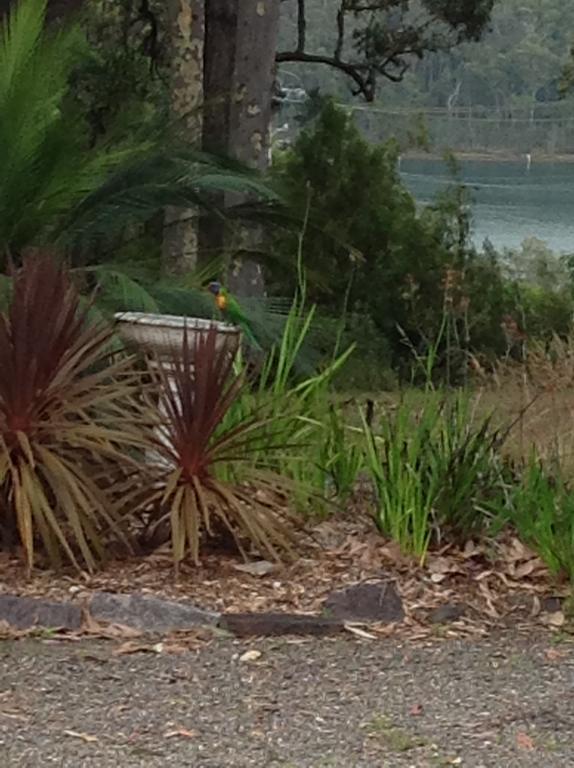 Farnboro Narooma